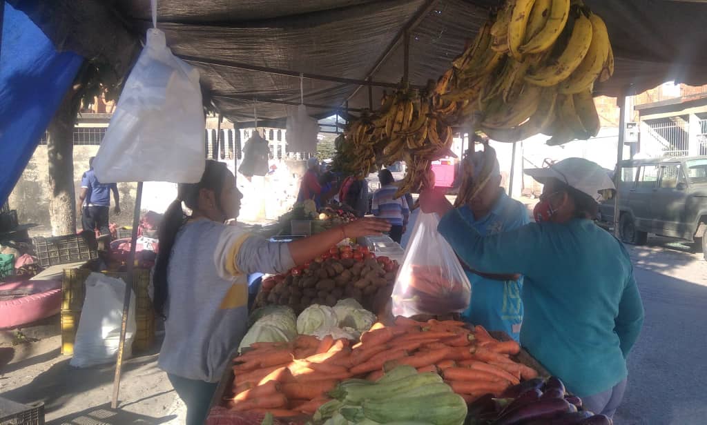 Inestabilidad del dólar y falta de gasolina influyen en aumento de 150% del tomate, cebolla y ají dulce en Barinas