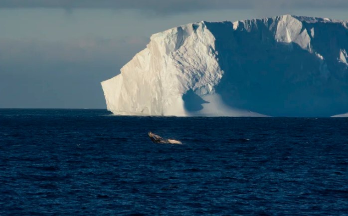 De qué forma se pueden ralentizar los efectos del cambio climático en la Antártida