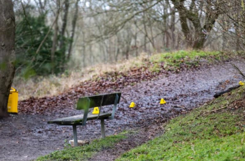 Terror en Inglaterra: paseadora de mascotas fue mutilada hasta la muerte por ocho perros