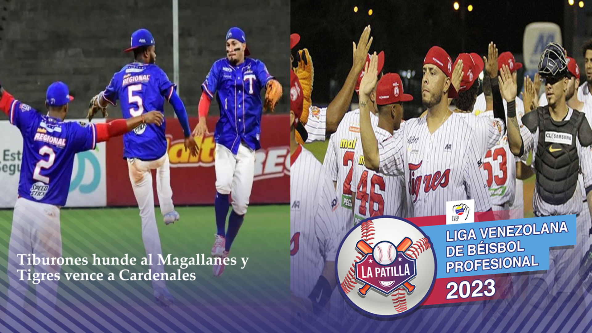 ¡Pá encima! Tiburones “hunde el barco” al Magallanes y Tigres “despluma” a Cardenales este #11Ene