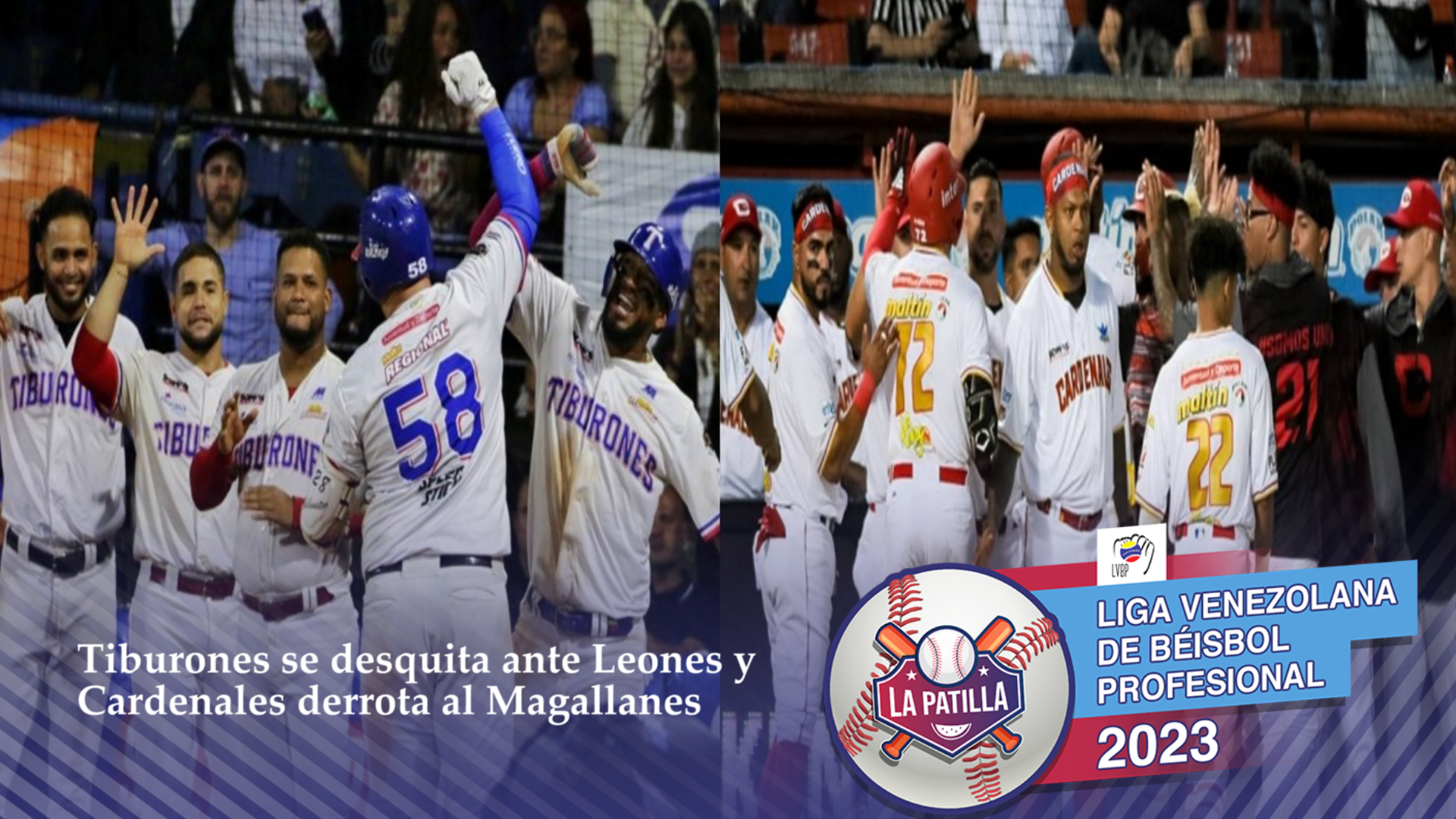 Tiburones vapulea a Leones y Cardenales frenó al Magallanes este #3Ene