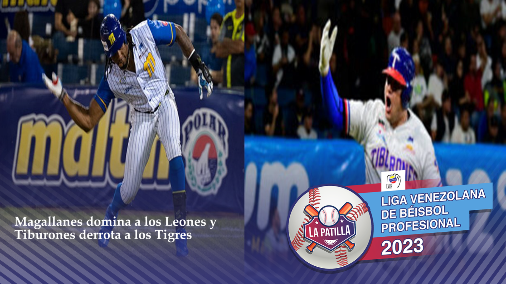 Magallanes sometió a Leones y Tiburones se reconcilió con el triunfo ante Tigres este #7Ene