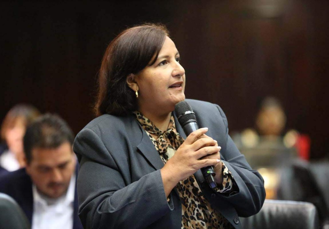 AN de 2015 espera dar continuidad a Dinorah Figuera en la presidencia