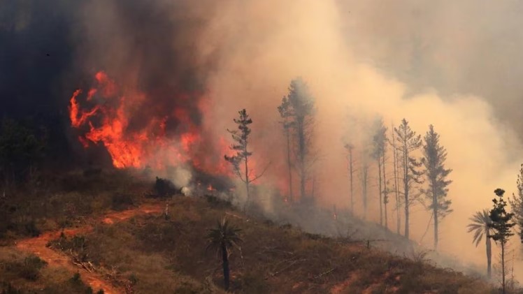 Incendios forestales no dan tregua en Chile y el “súper avión” sufrió un desperfecto técnico