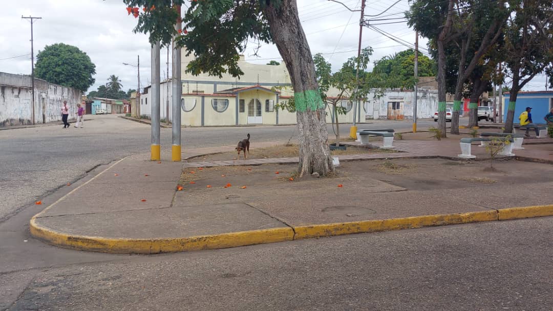 Se puso a discutir con desconocidos durante una borrachera y lo mataron a puñaladas en El Tigre