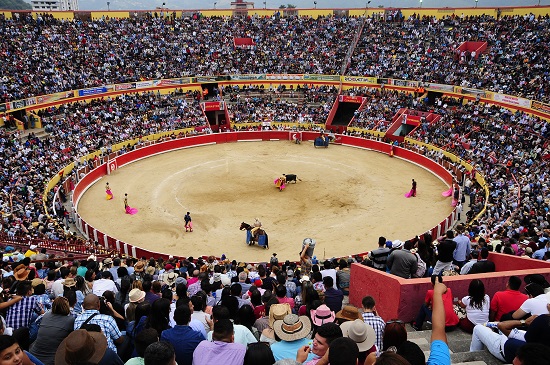 Menores de edad ya pueden ingresar a actividades de tauromaquia en Mérida