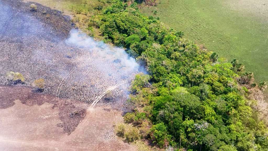 A lo Top Gun, pero llanero… derribaron narcoavioneta “hostil” en Apure (VIDEO)