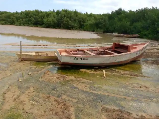 Fishing is paralyzed in the main port of Falcón due to sedimentation around its docks