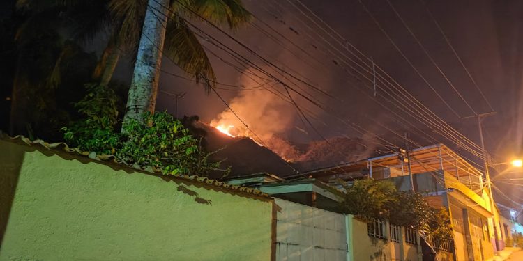 Incendio forestal consumió más de 100 hectáreas del Parque Nacional Henri Pittier (Fotos)