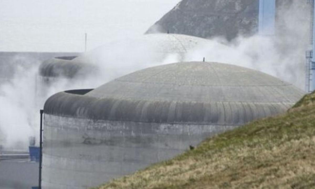 Descubren grietas importantes en otros dos reactores nucleares en Francia