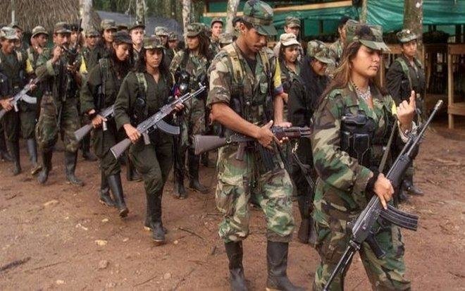 De guerrilleros a empresarios: Excombatientes de Farc se reinventan en proyectos de “reinserción social”