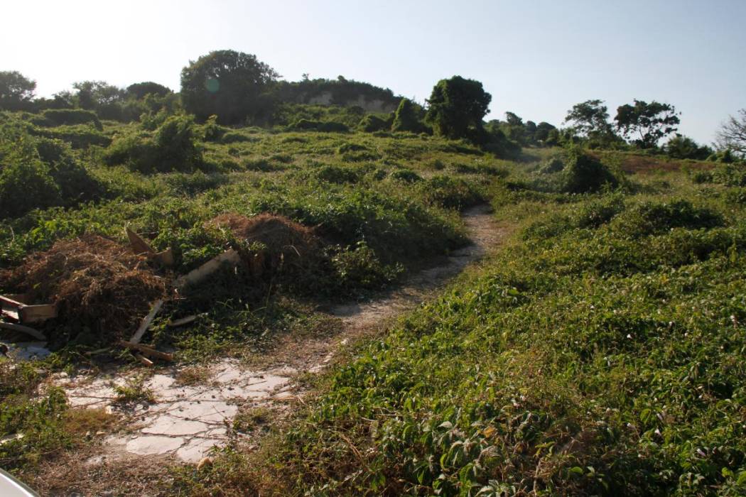 ¡Inhumano! Abandonó a su bebé recién nacido en una zona enmontada en la Sierra de Falcón