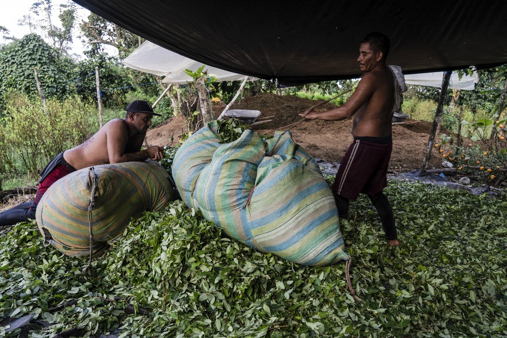 La insospechada crisis del negocio de la cocaína en Colombia