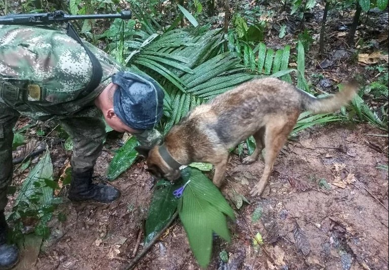 Un “duende” no dejaría salir a los niños indígenas perdidos en la selva colombiana, según familiar (Video)