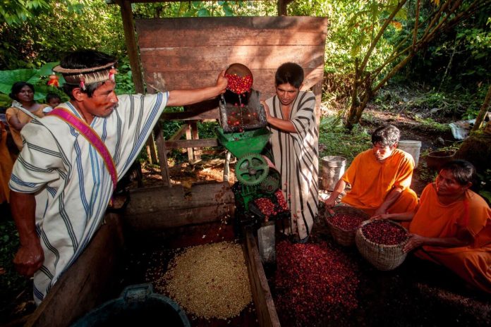 Más de 50 líderes indígenas en la Amazonía de Brasil, Colombia, Ecuador y Perú fueron asesinados entre 2016 y 2021