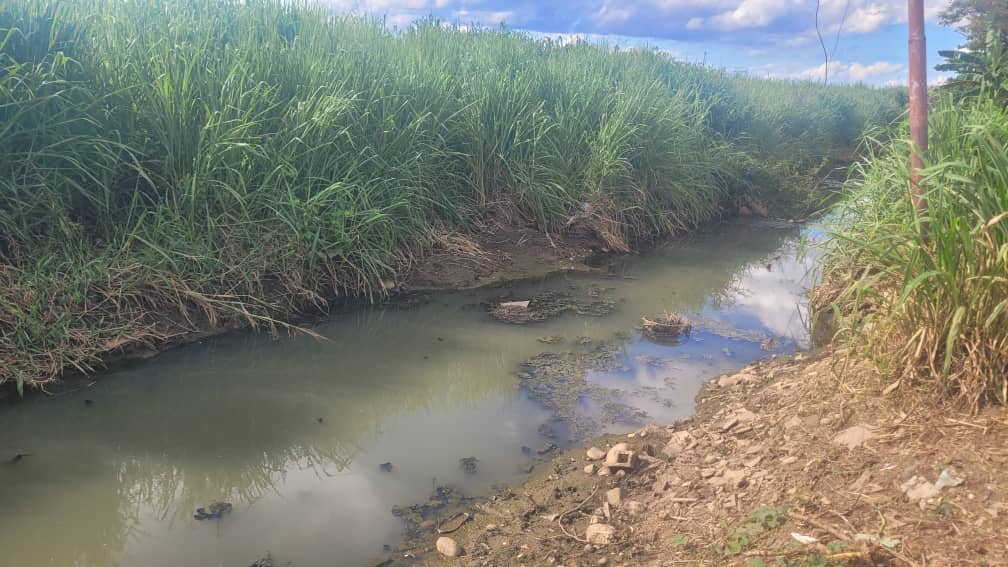 Cloacas colapsaron e inundaron casas en Barinas: agua con heces “nos llegaba a la cintura”