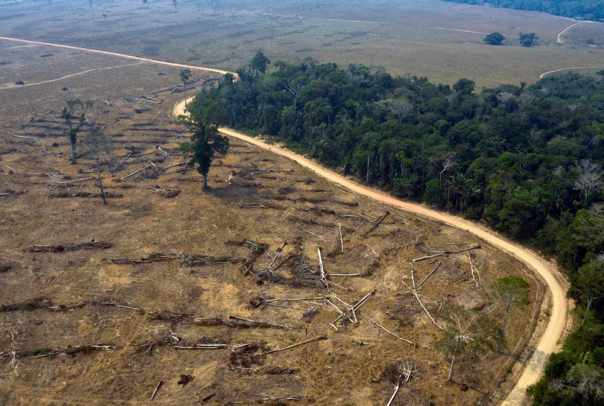 Informe alarmante de la OMM: Cambio climático agrava “círculo vicioso” en América Latina y el Caribe