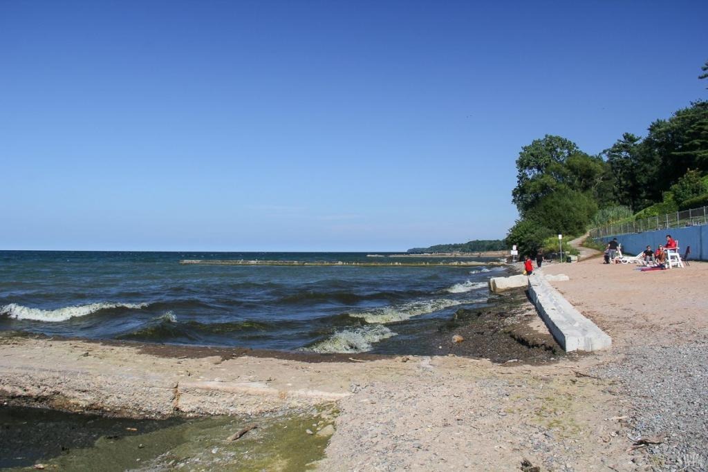 Las playas de EEUU abiertas al público y contaminadas hasta el tope… de excremento