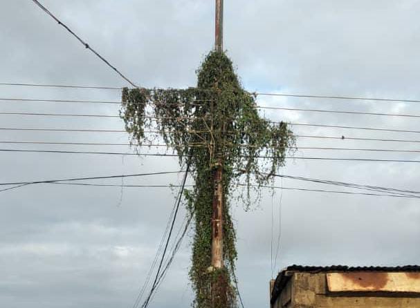 A un soplo de desplomarse postes y tendido eléctrico en Achípano, mientras Corpoelec-Nueva Esparta ignora denuncias