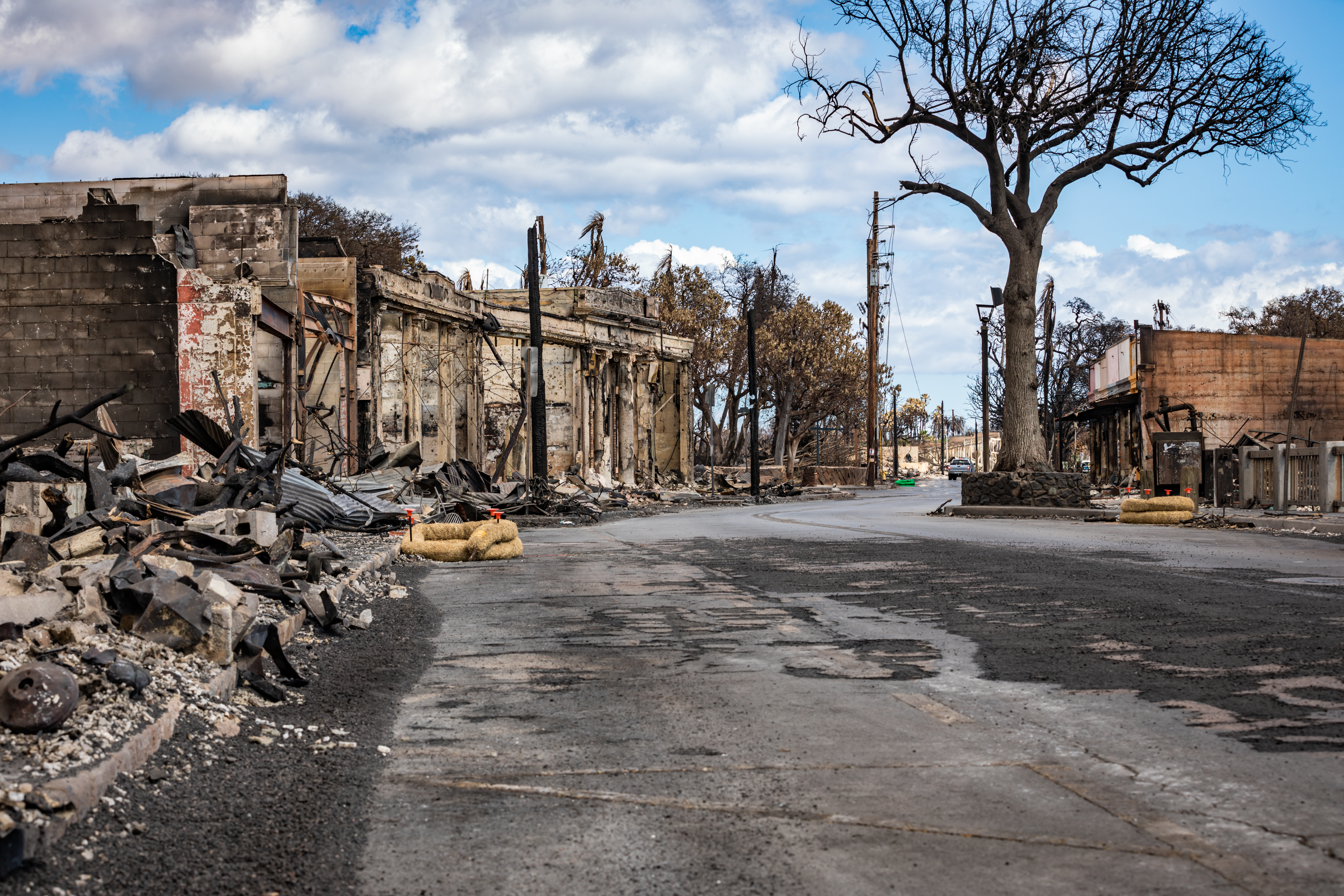 Venezolano en Hawái relató cómo se vivió la tragedia de los incendios en la isla