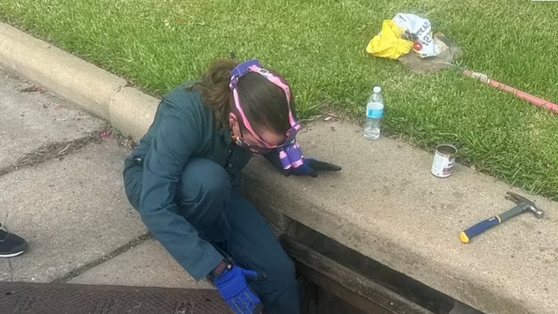 Perdió a sus perros dentro de desagües infestados de cucarachas en Houston y esto fue lo que hizo