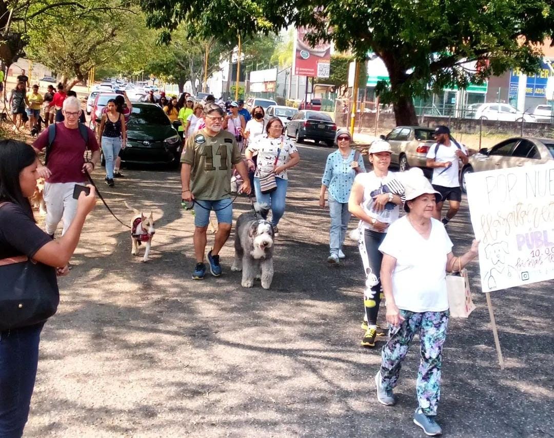 Una ayuda para los “sin voces”: proponen construir el primer Hospital Público Veterinario de Venezuela