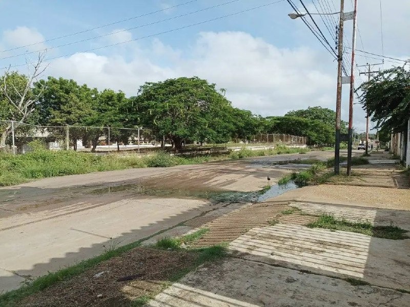 En sectores de Valle de la Pascua tienen cinco años viviendo entre hediondez y agua “piche”