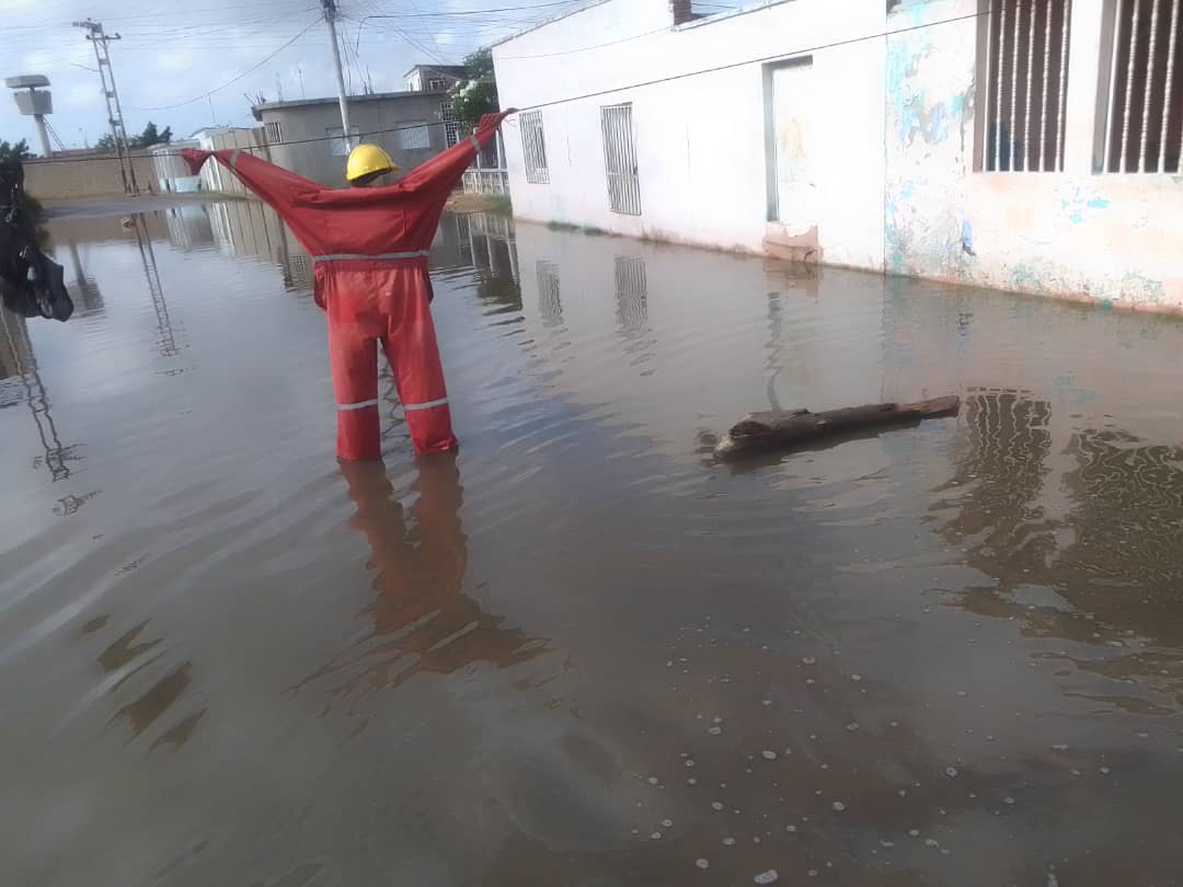 Pupú-drición e infecciones tienen de rehenes a familias falconianas