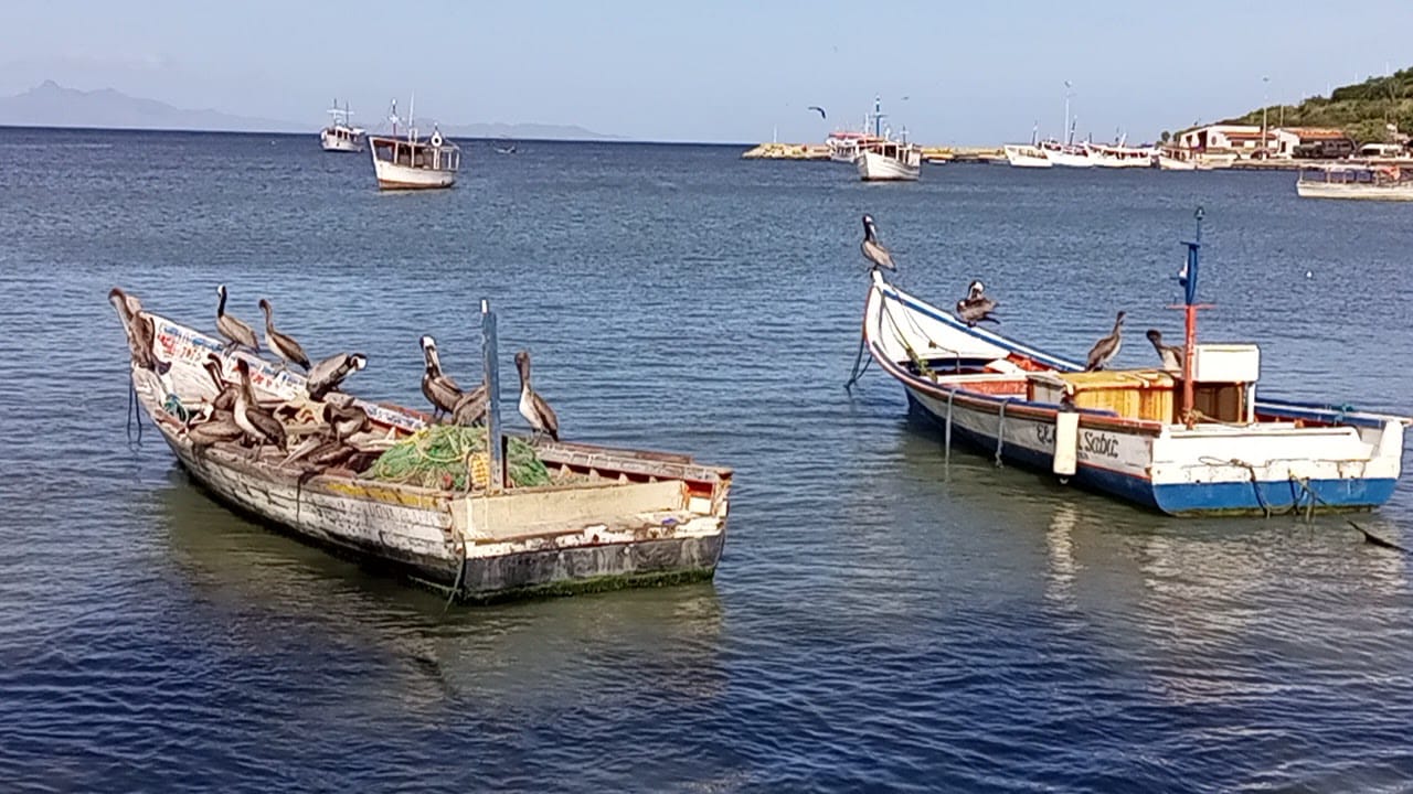 Chavismo restringió vuelos y zarpe de embarcaciones hacia estas ciudades (VIDEOS)