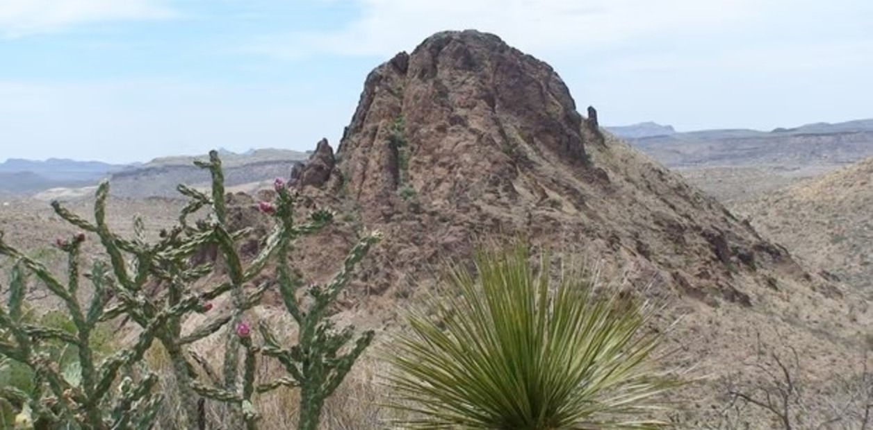 Milagro en Texas: estuvo perdido en el desierto ardiente durante horas, bebió de un charco y comió renacuajos