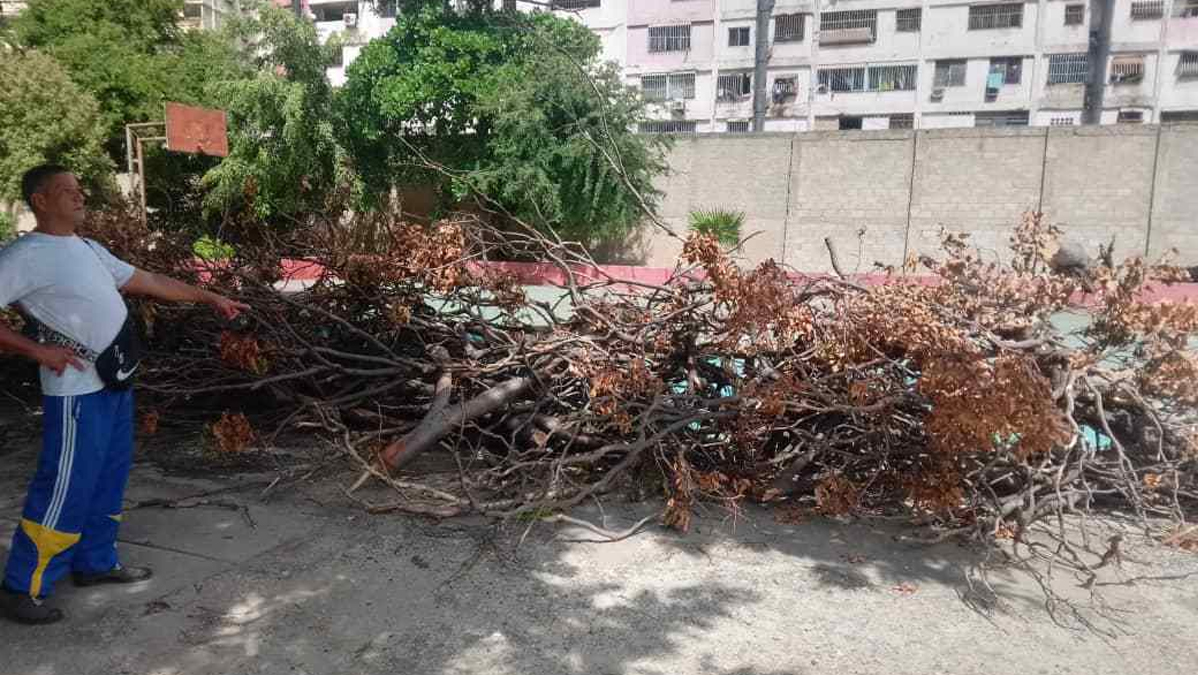 Emblemática escuela en La Guaira, en riesgo inminente por el desplome del segundo piso