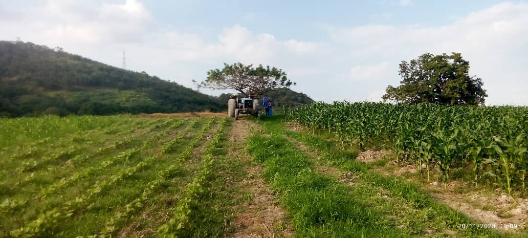 Productores de Carabobo denuncian irregularidades en despacho de combustible