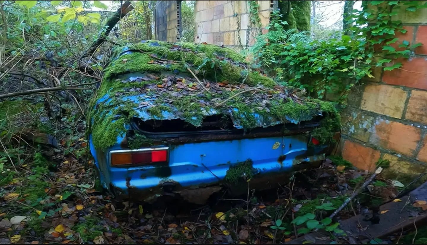 Exploraba un cementerio de carros abandonados y realizó insólito descubrimiento de miles de dólares (VIDEO)