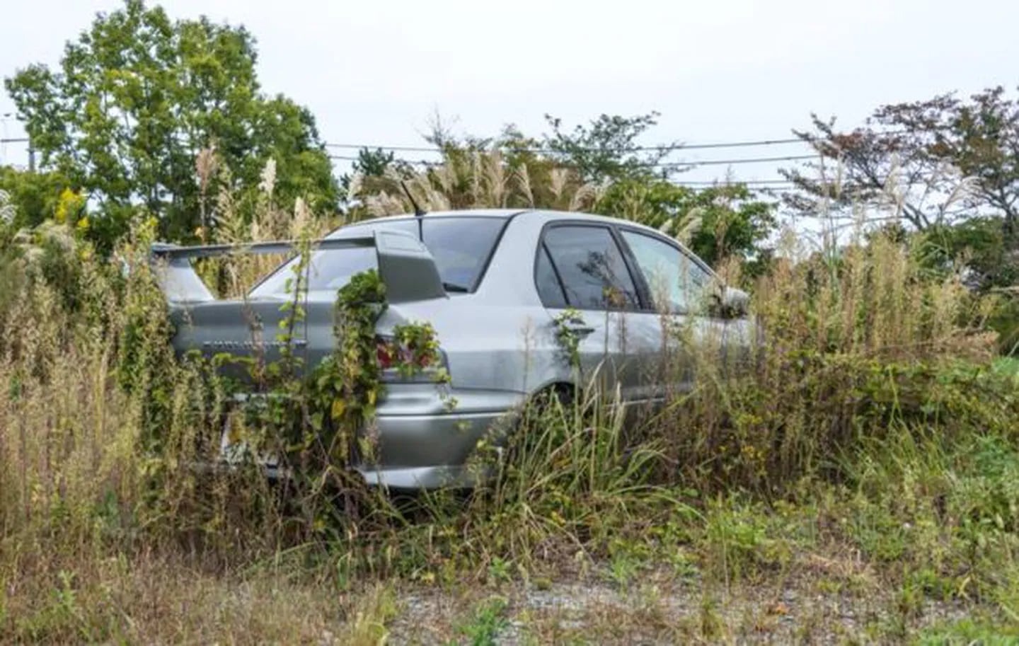 La insólita razón por la cual un famoso youtuber no puede vender varios carros abandonados (VIDEO)