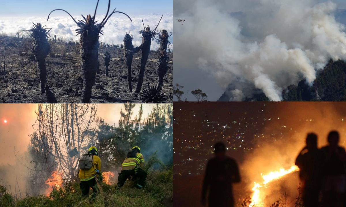 Desciende a 13 el número de incendios activos en Colombia, según las autoridades