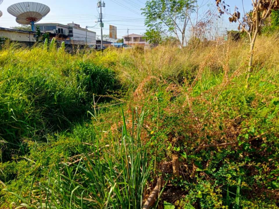 Vecinos exigen limpieza de quebrada en Valle de La Pascua (FOTO)