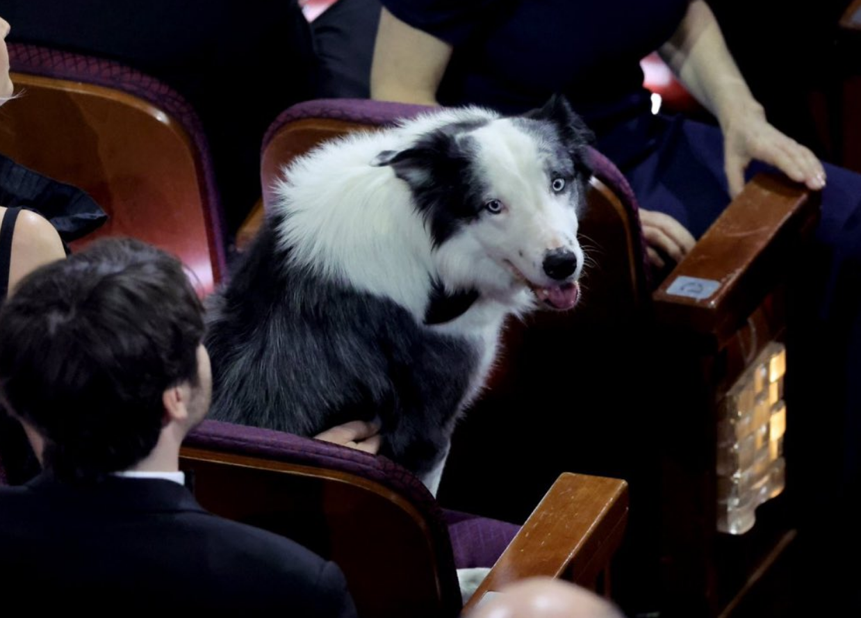 “Messi” consiguió un asiento privilegiado en los Premios Óscar