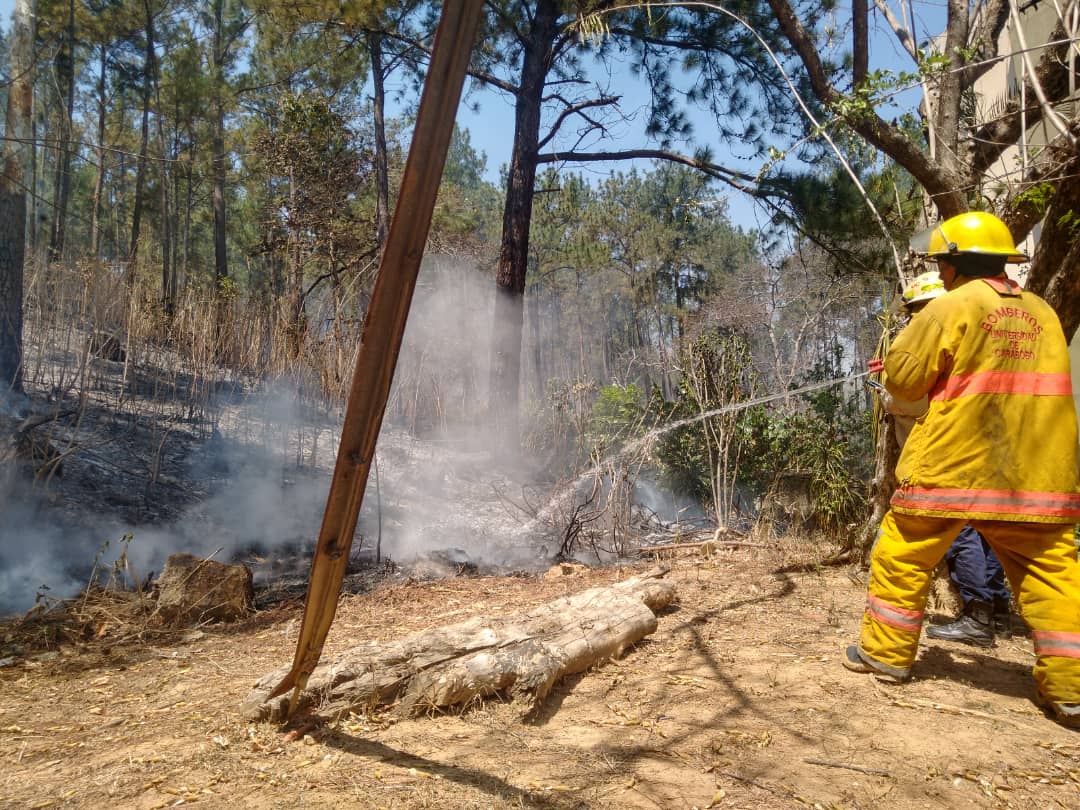 Altas temperaturas y fuertes vientos complican labores para combatir incendio en el cerro El Café en Naguanagua