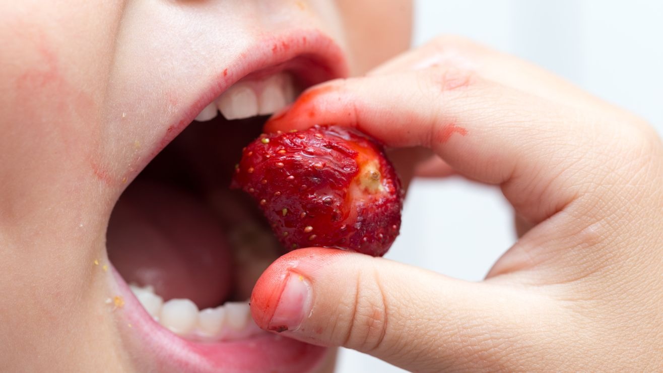 Niño pequeño murió tras comer fresas en una recaudación de fondos de una escuela en Kentucky