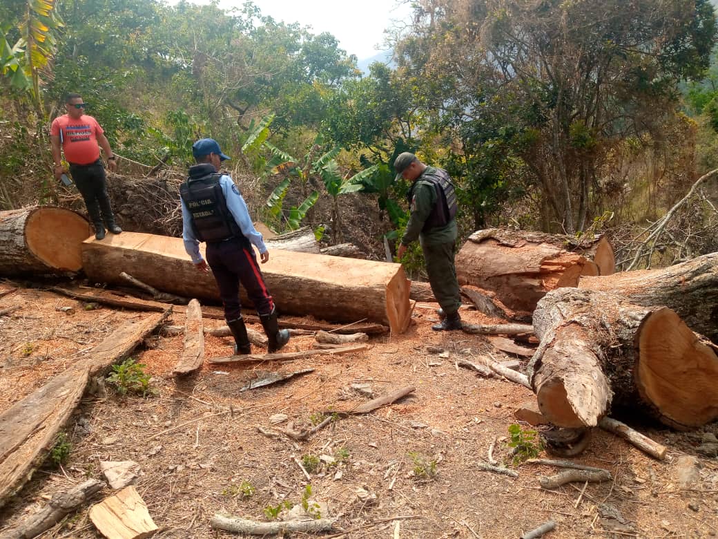 Tala y quema indiscriminada amenaza reserva de agua del sector Río Claro en Lara