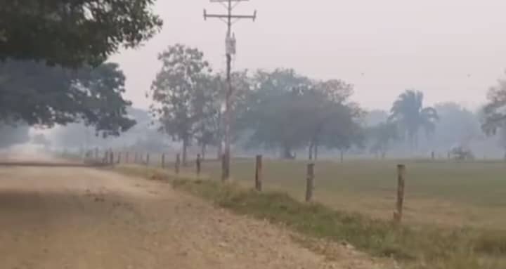 Lluvia salvó de un incendio a la Reserva Forestal de Ticoporo en Barinas