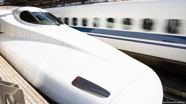 El caos que provocó una serpiente en un tren de alta velocidad