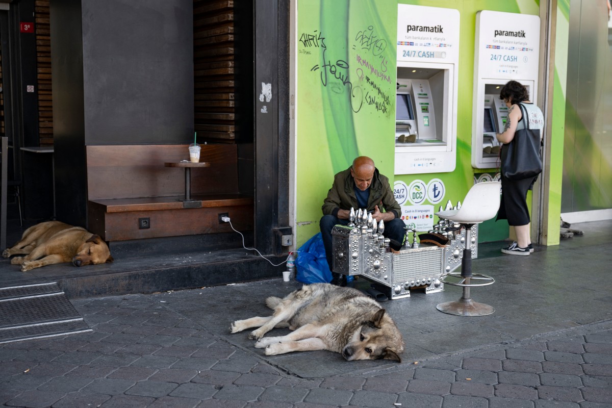 Miles de manifestantes en Estambul contra proyecto de sacrificar a perros callejeros