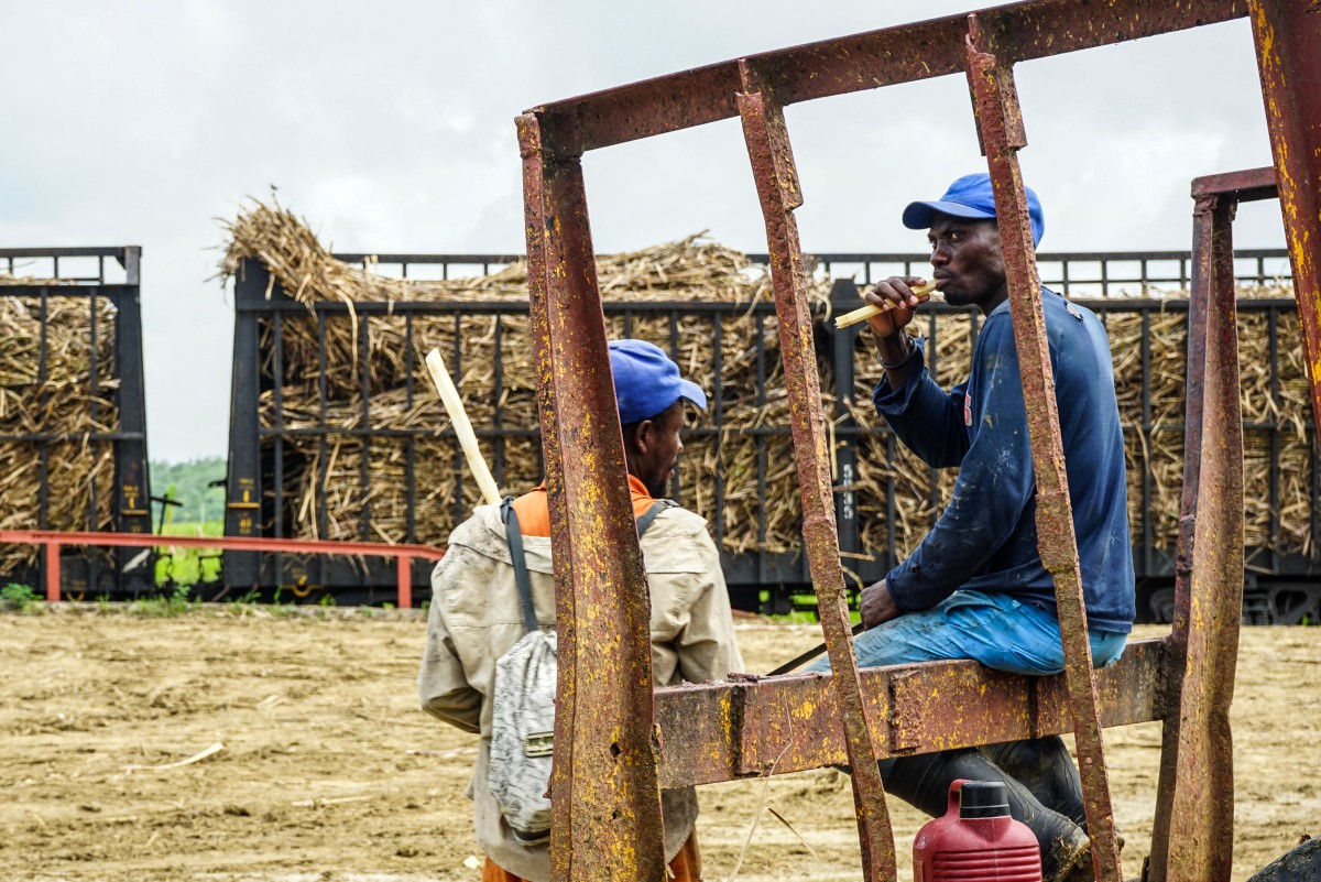 Morir esperando una pensión: el desamparo de los cañicultores haitianos en Dominicana