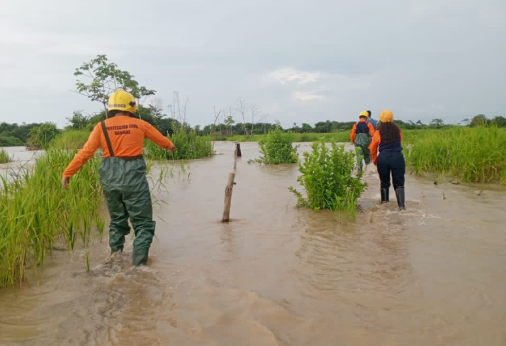 Crecida del río Santo Domingo causa estragos en sectores de Barinas: más de 20 casas afectadas