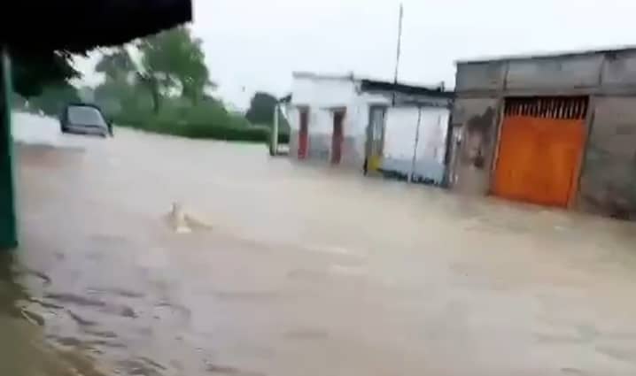 Inundados desde la medianoche comunidades de la Reserva de Ticoporo en Barinas