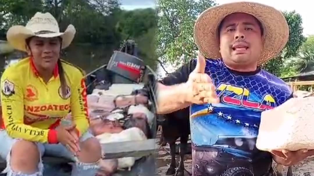 Productores de queso de los llanos venezolanos exigen a bodegueros bajar el precio porque están “abollados”