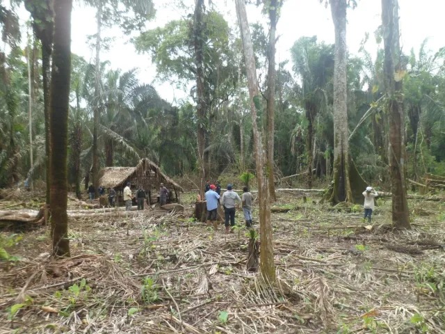 Reserva Forestal de Caparo, un edén en Barinas destrozado por la pisada devastadora de invasores