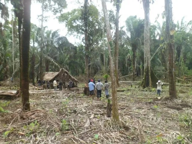 Venezuela’s Caparo Forest Reserve, an Eden in Barinas State destroyed by the devastating footprint of invaders