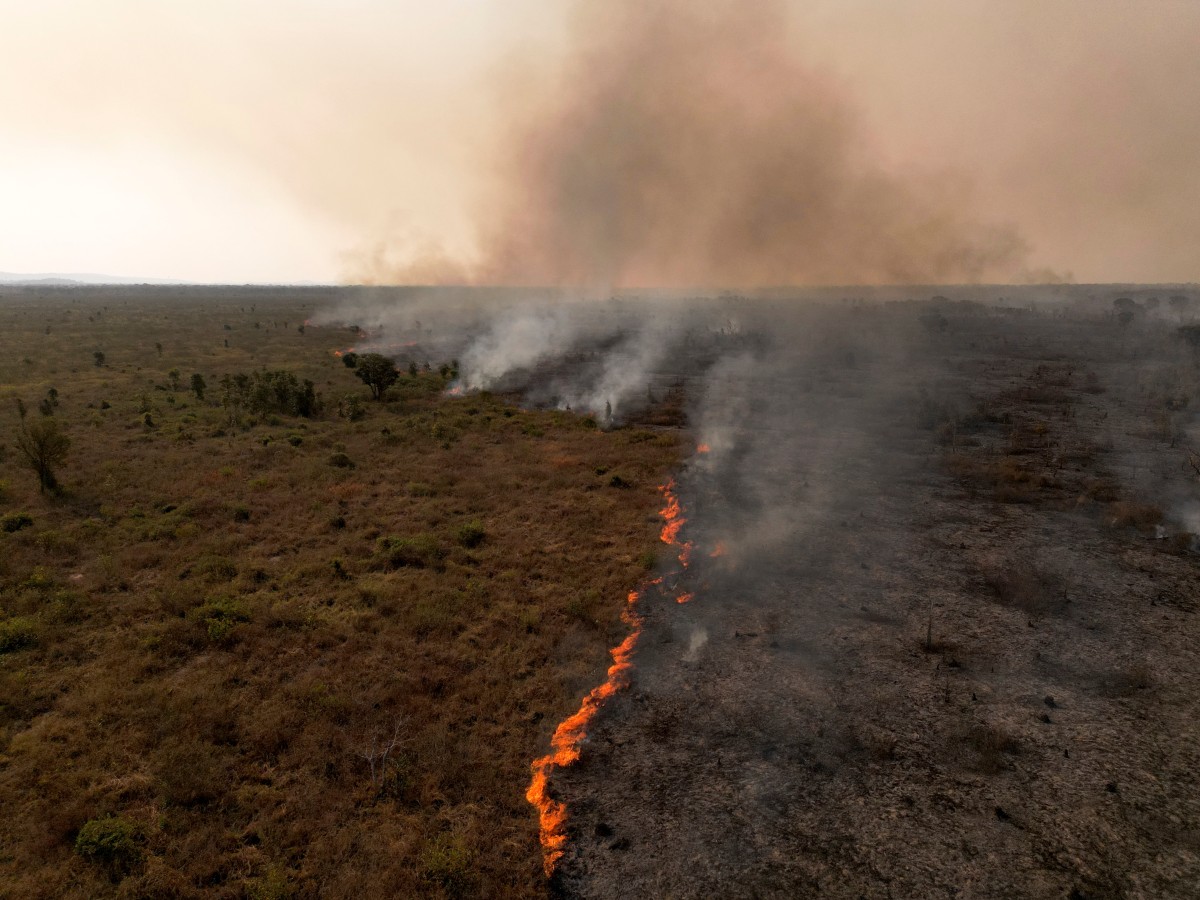 Incendios amenazan modos de vida de los “guardianes” del Pantanal brasileño (Fotos)